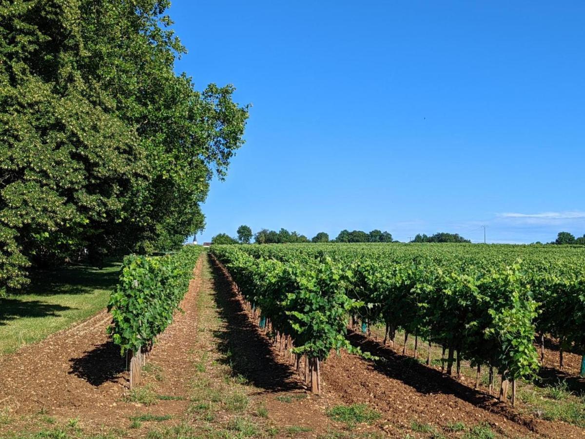 Gite Charmant Au Coeur D'Un Chateau Historique Avec Parc, Proche De Cognac, Ideal Famille Et Nature - Fr-1-653-167 Cherves-de-Cognac Ngoại thất bức ảnh